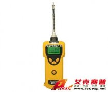 RAE PGM-1600 SearchRAE可燃?xì)夂投練鈾z測(cè)儀