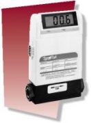 氣體質量流量計 820