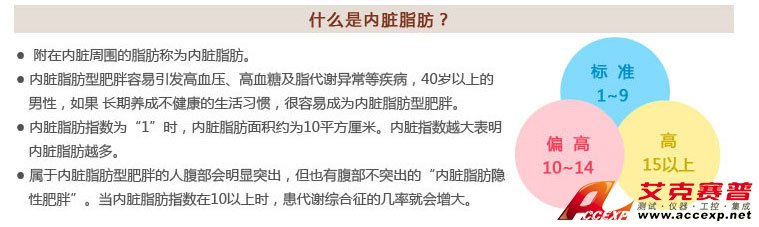 什么是內臟脂肪及內臟脂肪型肥胖 什么是內臟脂肪及內臟脂肪型肥胖