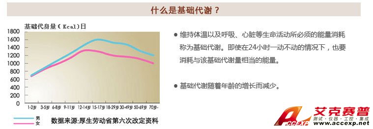了解基礎代謝 了解基礎代謝